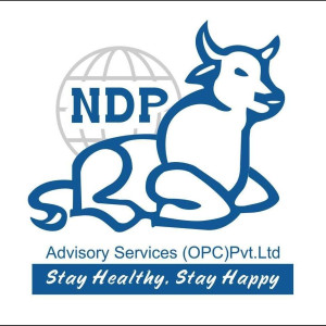 NDP ADVISORY SERVICES (OPC) PRIVATE LIMITED